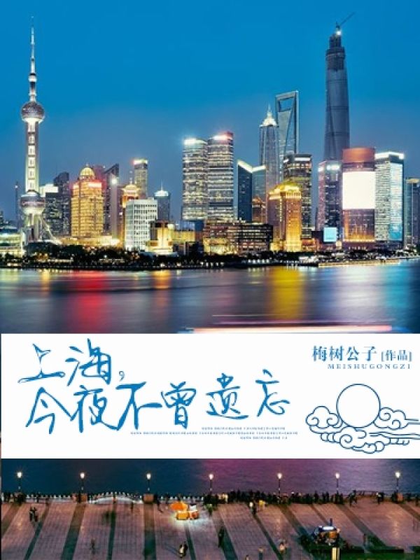 《上海，今夜不曾遗忘》最新章节 上海，今夜不曾遗忘苏紫方砚全文阅读