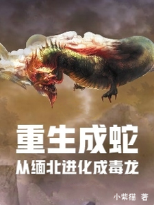 龙度龙宴 重生成蛇，从缅北进化成毒龙完结版在线阅读