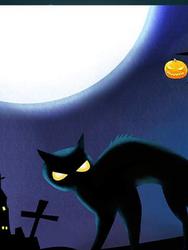《黑色的招财猫》最新章节 黑色的招财猫唐多银杨明发全文阅读
