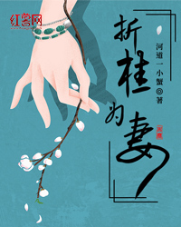 主角是桂南屏韩望书的小说在线阅读 折桂为妻免费阅读