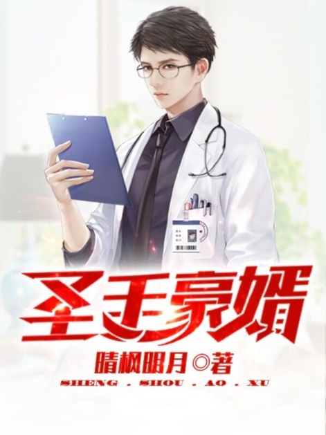 圣手豪婿小说