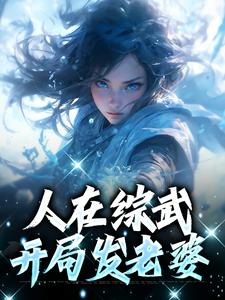 人在综武，开局发老婆小说