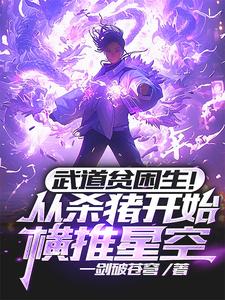 武道贫困生！从杀猪开始横推星空小说