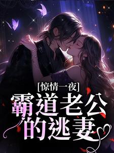 惊情一夜：霸道老公的逃妻小说