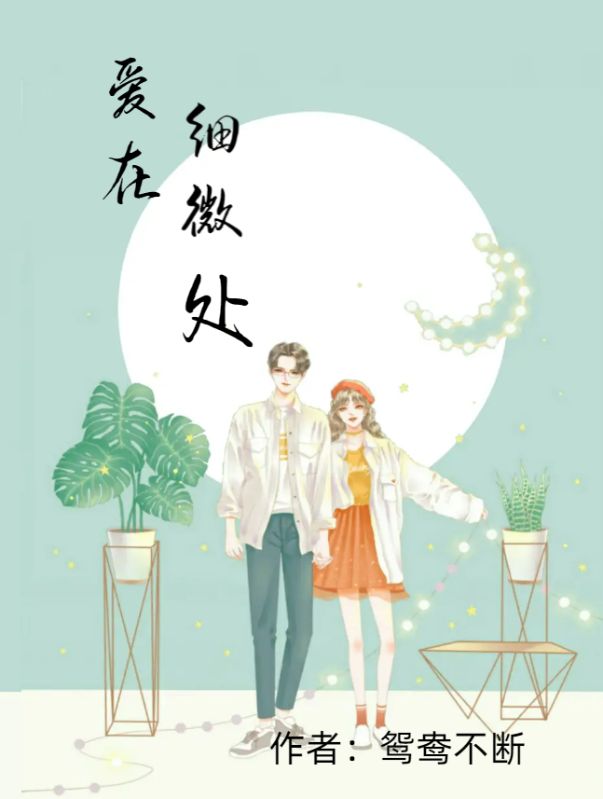 爱在细微处小说