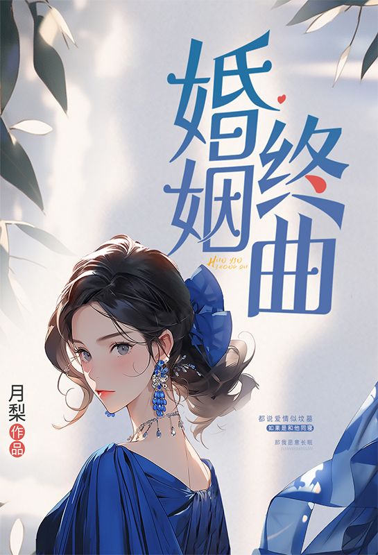 婚姻终曲小说