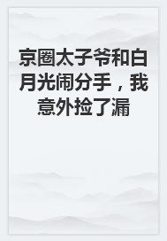 京圈太子爷和白月光闹分手，我意外捡了漏小说