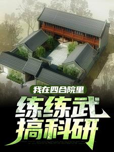 四合院：留学归来，悟性逆天小说