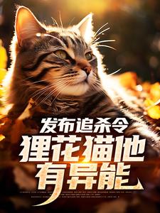 发布追杀令，狸花猫他有异能顾倾城老黑小说完整篇在线阅读