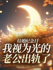 尹禾月宋屿舟 结婚纪念日，我视为光的老公出轨了完结版在线阅读