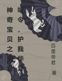 夜智 神奇宝贝之诸君听令，护我华夏完结版在线阅读