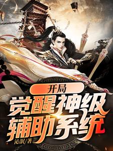 开局觉醒神级辅助系统