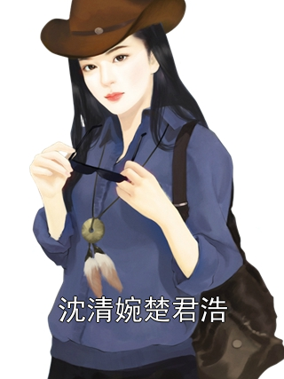 沈清婉楚君浩