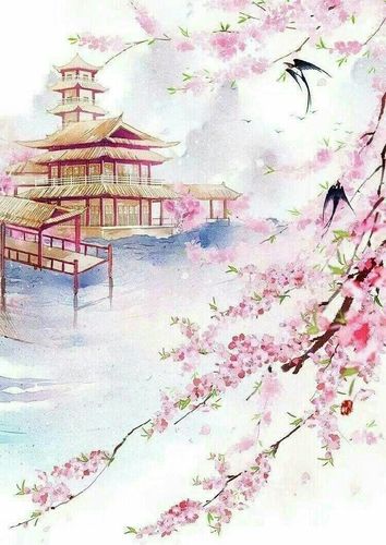桑虞陆泊昭 桑虞陆泊昭完结版在线阅读