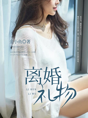 离婚礼物小说