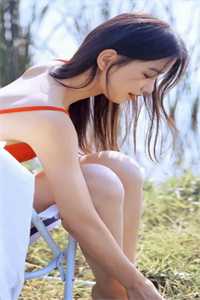 风起蔷薇