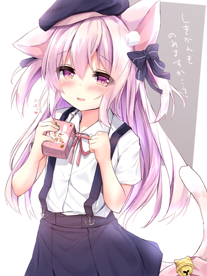 他从来就不属于她