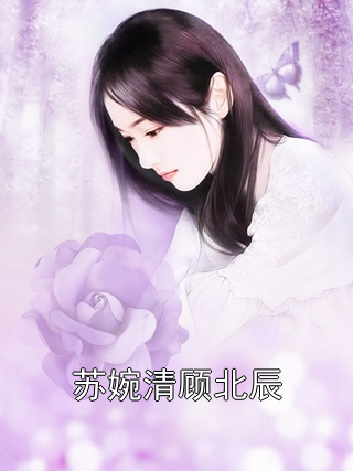 蘇婉清顧北辰
