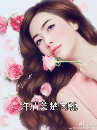 许清芸楚向驰许清芸楚向驰小说完整篇在线阅读