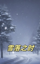 雪落之时