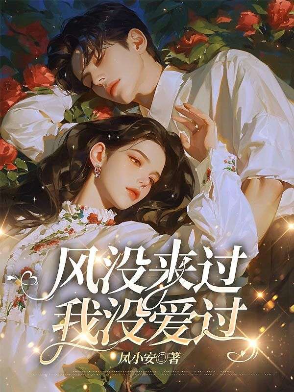 风没来过，我没爱过小说