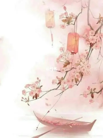 我的紫霞仙子小说