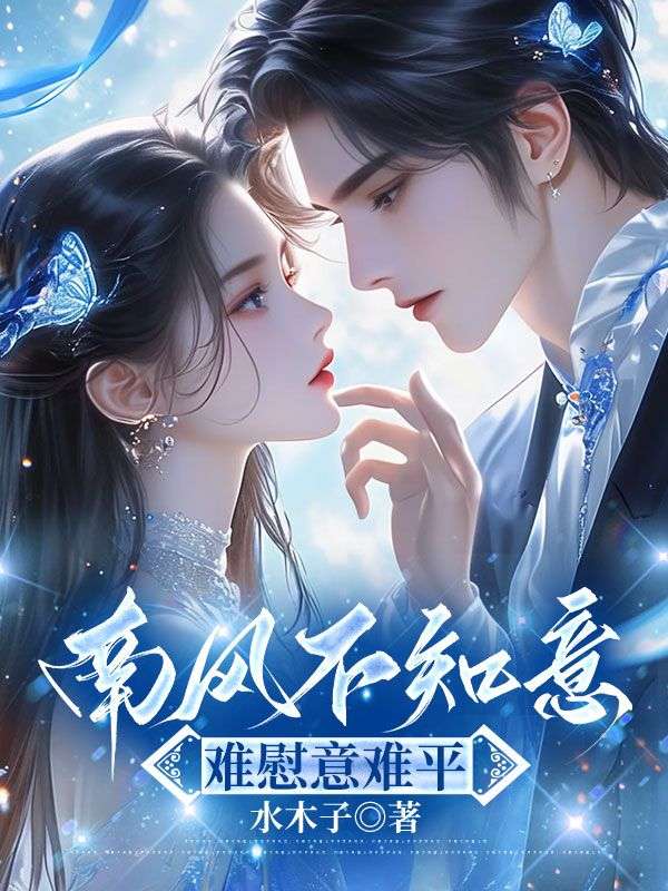 南风不知意，难慰意难平小说