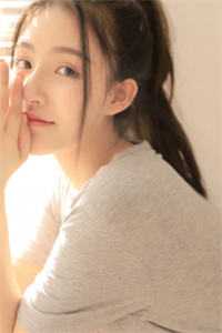 大明抄家王小说