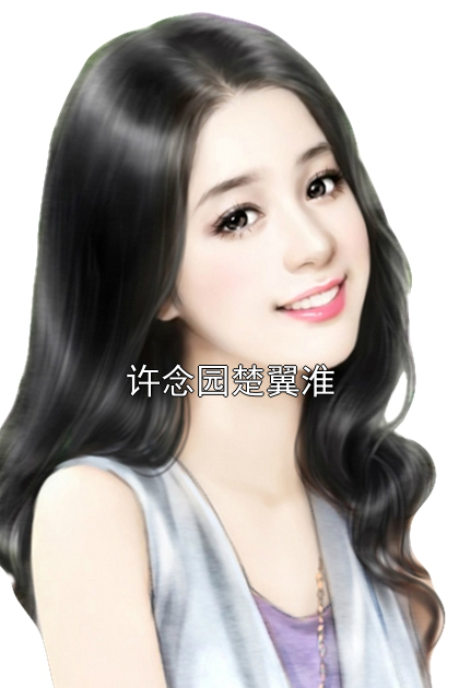 许念园楚翼淮小说