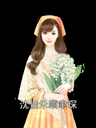 沈佳禾顾聿琛