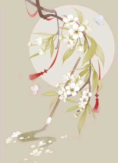 姜今夏靳寒彦陆时靳