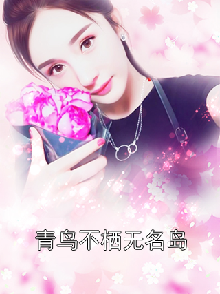 青鸟不栖无名岛