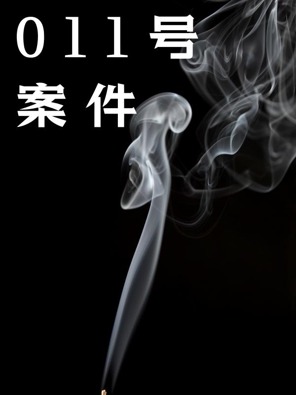 011号案件小说