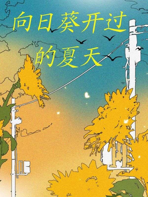 向日葵开过的夏天