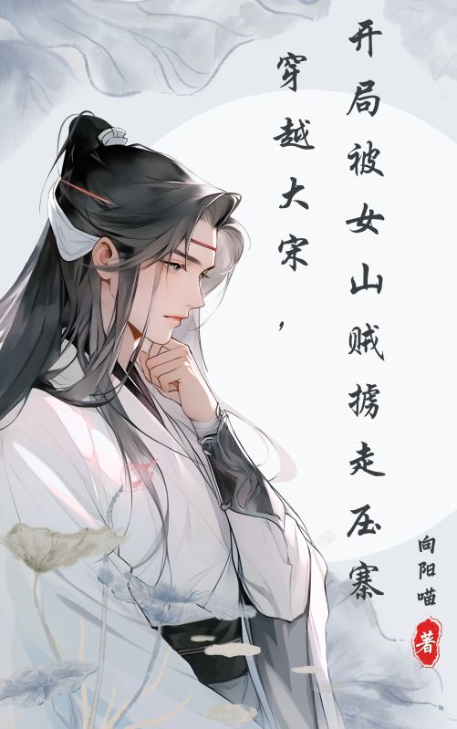 穿越大宋，开局被女山贼掳走压寨小说