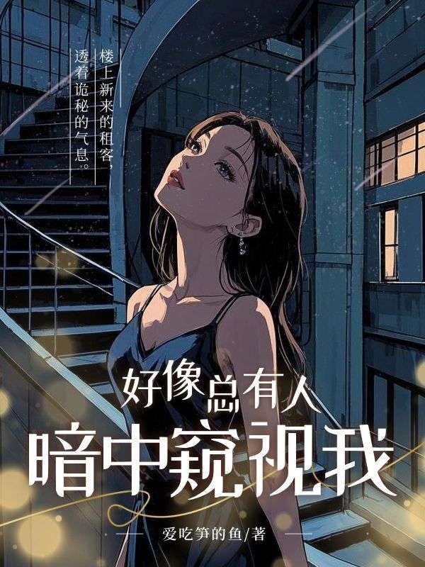 好像总有人在暗中窥视我小说