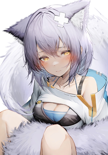 胡闹鬼嫁小说