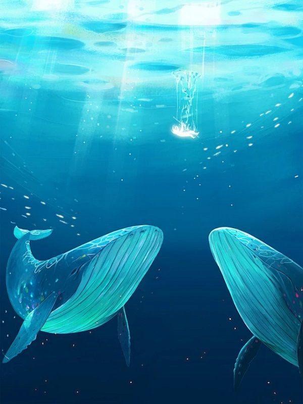我被改造成海狮后，全家后悔了小说