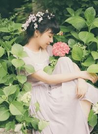 《恶毒前妻去随军，冷面军官霸气宠》小说大结局在线试读 顾时清林半夏小说阅读