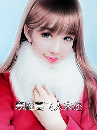 寒雁高飞人未还