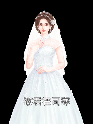 主角是黎君霍司寒的小说在线阅读 黎君霍司寒免费阅读