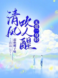 《清风吹人醒，无爱一身轻》安然丁博明芳洁章节在线阅读