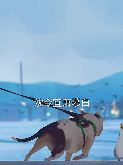 沈令宜萧慕白
