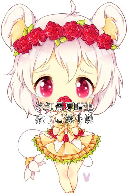 沈知景夏晴生孩子后续小说