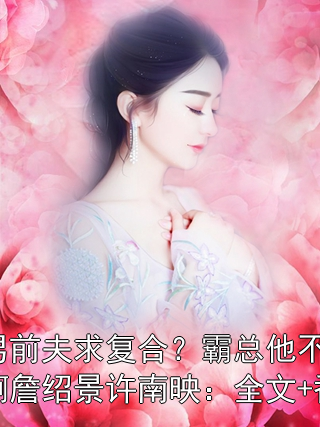 渣男前夫求复合？霸总他不允许啊詹绍景许南映：全文+番外