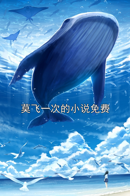 莫飞一次的小说免费