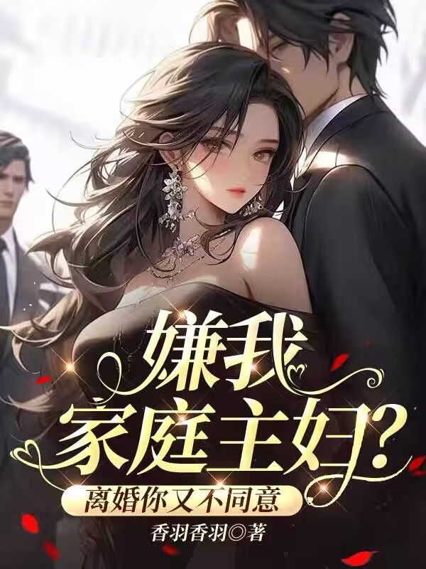 嫌我家庭主妇，离婚你又不同意小说
