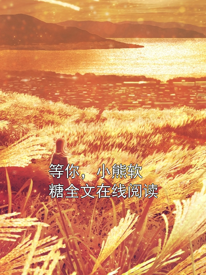 等你，小熊软糖全文在线阅读