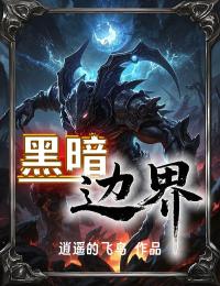 黑暗边界小说