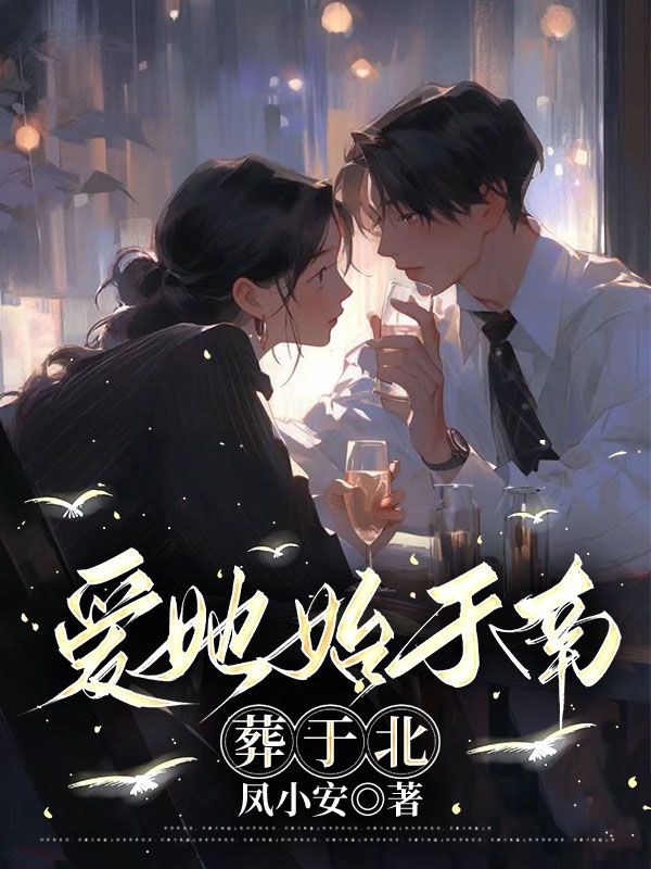爱她始于南，葬于北小说
